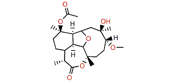 Briarellin N